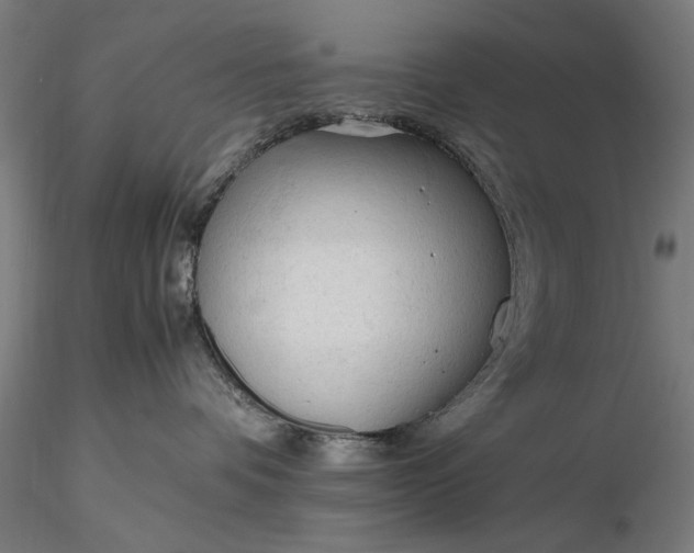 X0000116310336200912141405