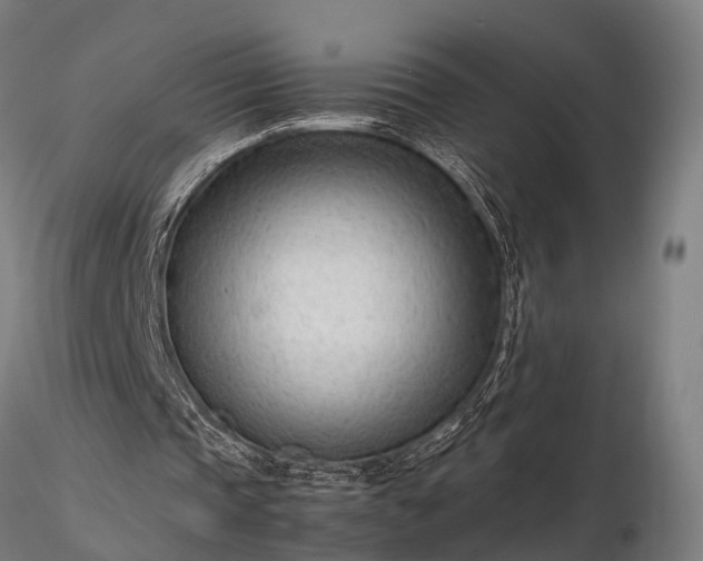 X0000116310337200912141404