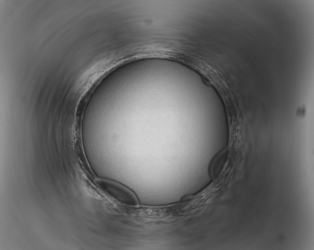 X0000116310338200912141404