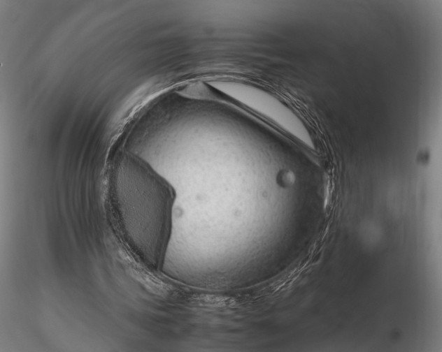 X0000116310339200912141404