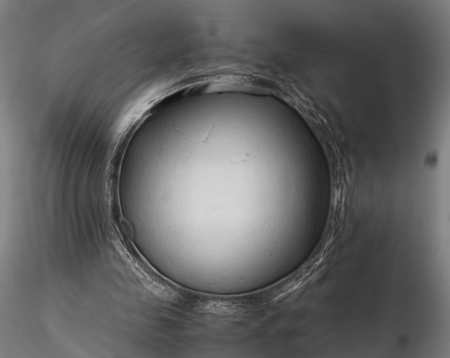 X0000116310341200912141404