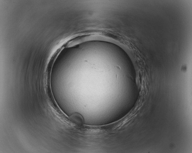 X0000116310342200912141404