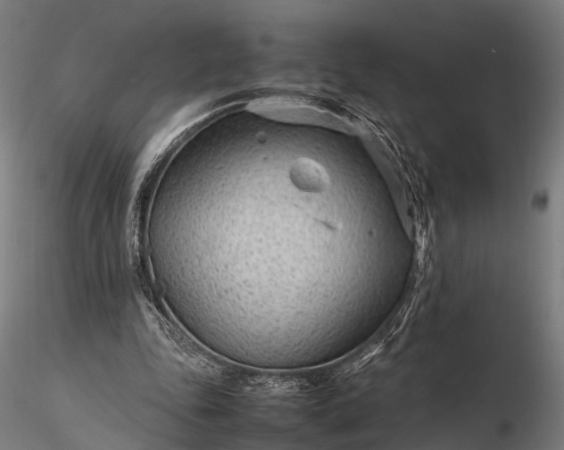 X0000116310343200912141404