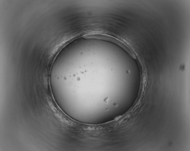 X0000116310345200912141404