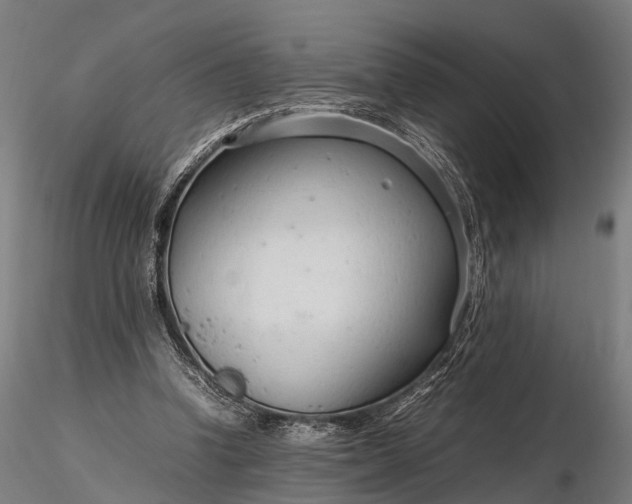 X0000116310346200912141404