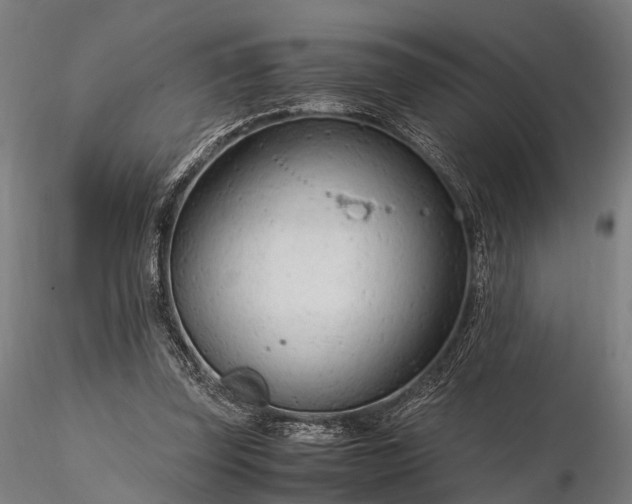 X0000116310347200912141404