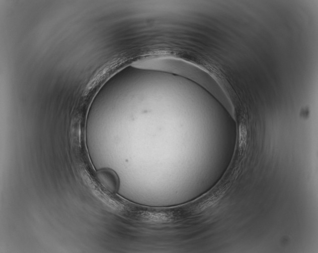 X0000116310349200912141404