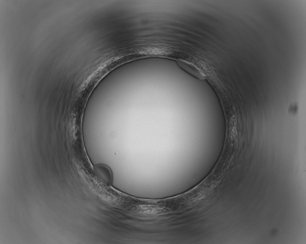 X0000116310351200912141404