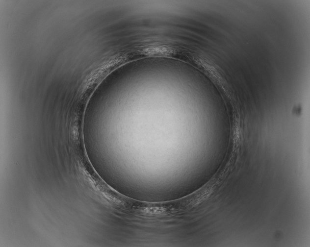 X0000116310353200912141404