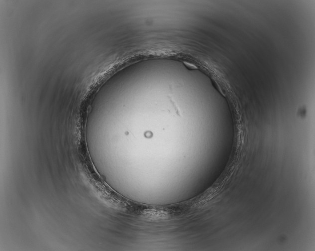 X0000116310354200912141404