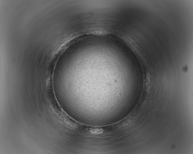 X0000116310355200912141404