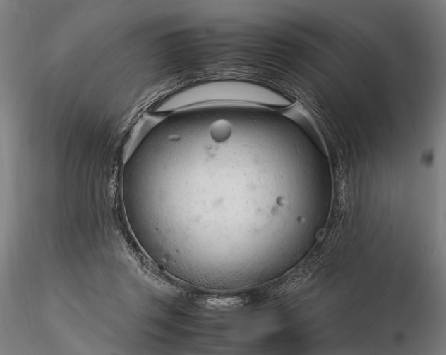 X0000116310357200912141404