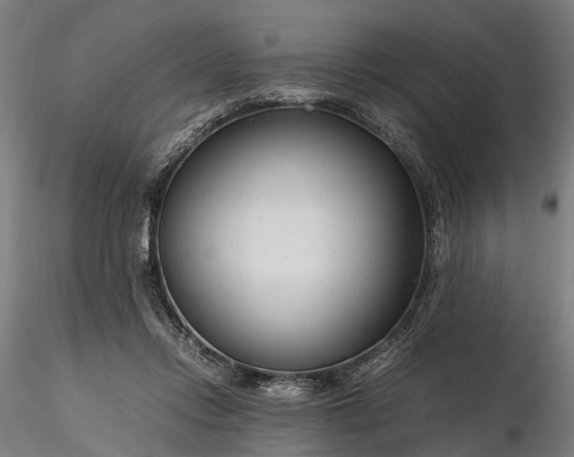 X0000116310358200912141404