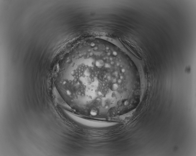 X0000116310359200912141404