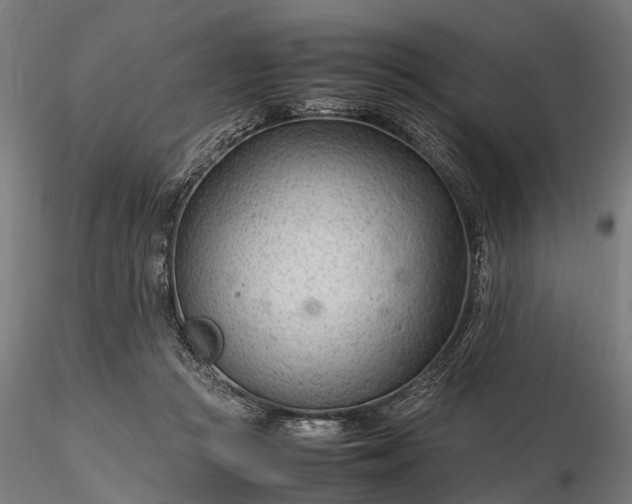 X0000116310361200912141404