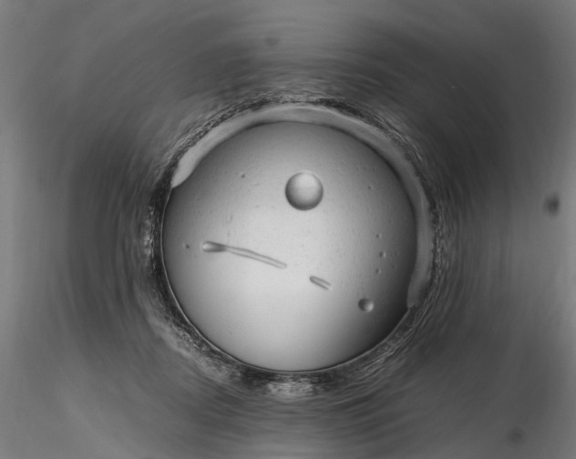 X0000116310362200912141404