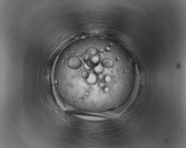 X0000116310363200912141404