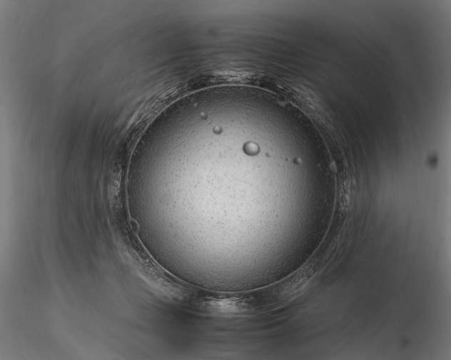 X0000116310365200912141404