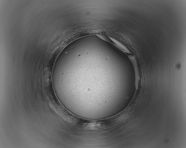 X0000116310366200912141404