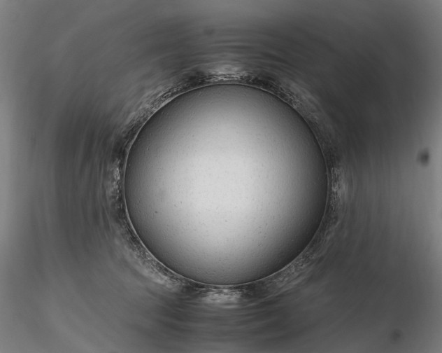 X0000116310369200912141404