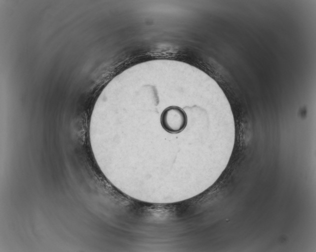 X0000116310370200912141404