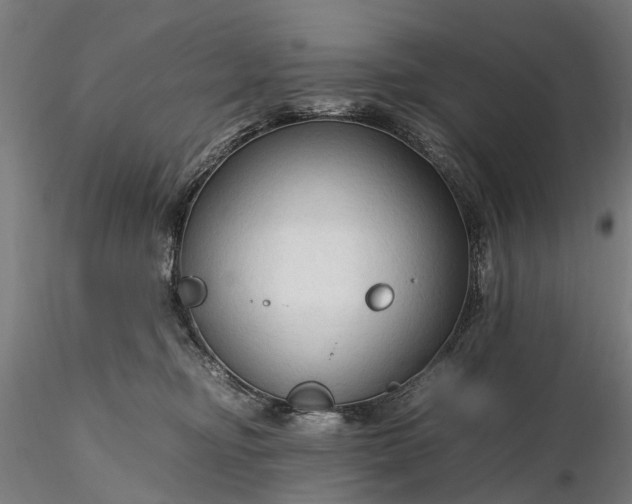 X0000116310374200912141404