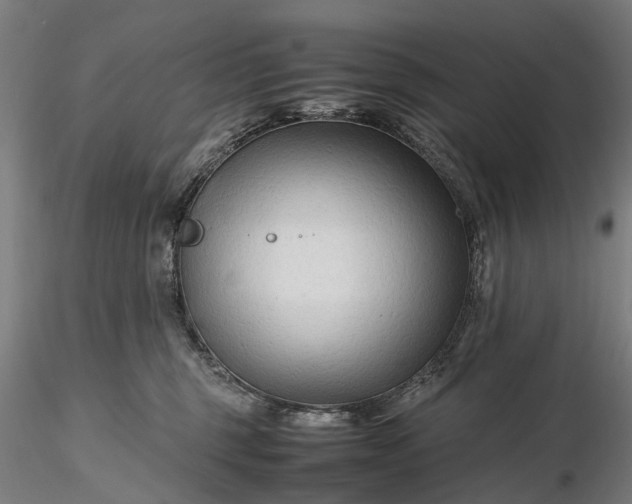 X0000116310375200912141404