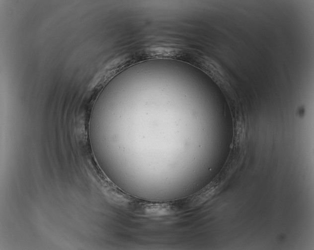 X0000116310377200912141404