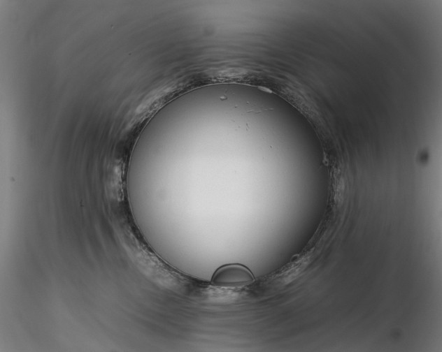 X0000116310378200912141404