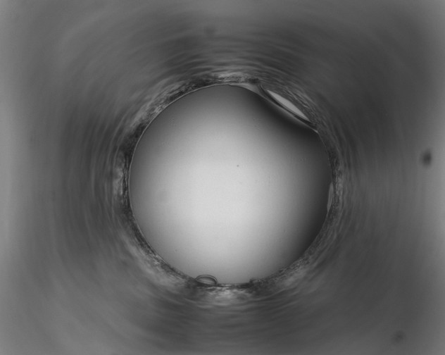 X0000116310379200912141404