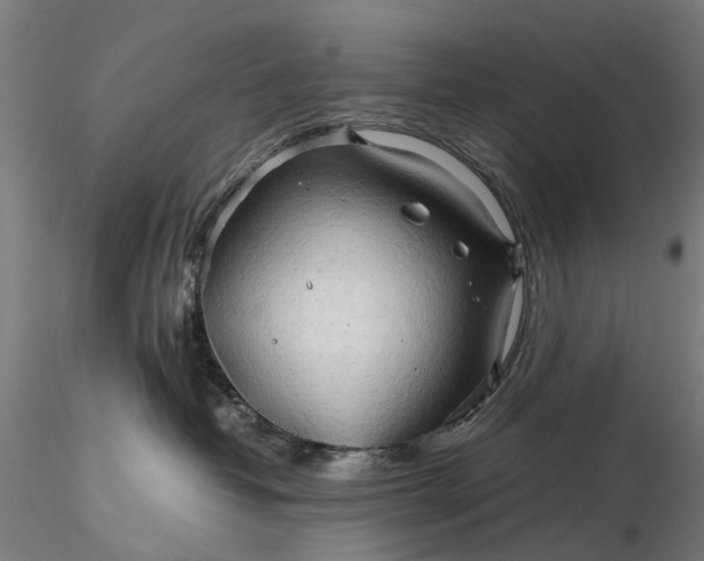 X0000116310382200912141405