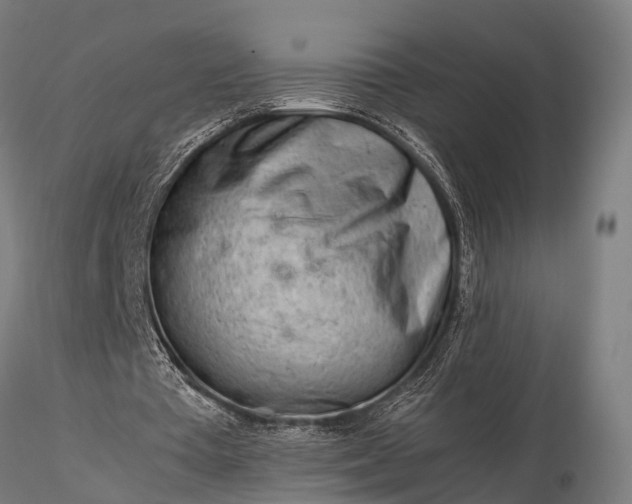 X0000116310385200912141404