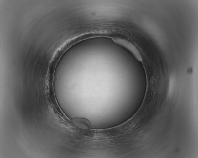 X0000116310388200912141404