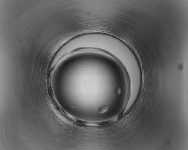 X0000116310389200912141404