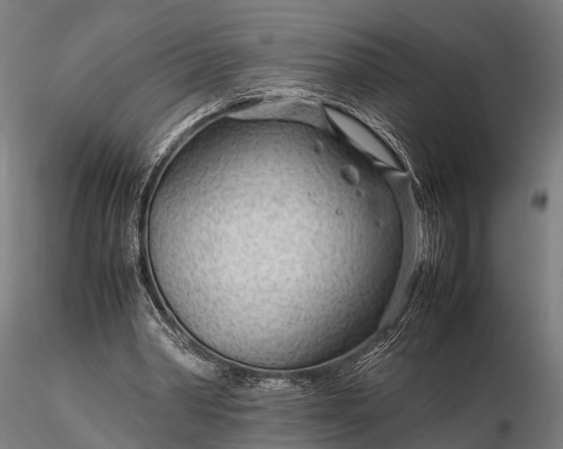 X0000116310390200912141404