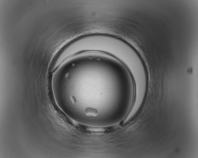 X0000116310391200912141404