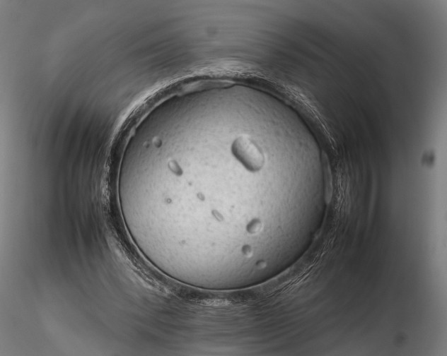 X0000116310392200912141404