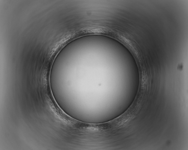 X0000116310394200912141404