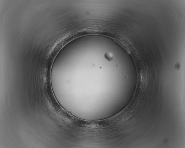 X0000116310396200912141404