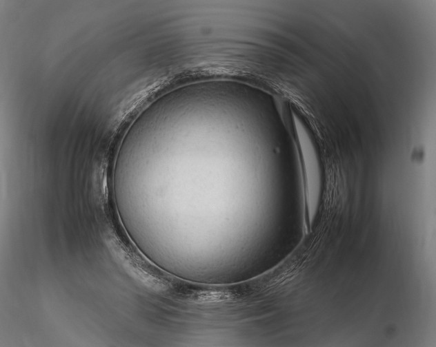 X0000116310398200912141404