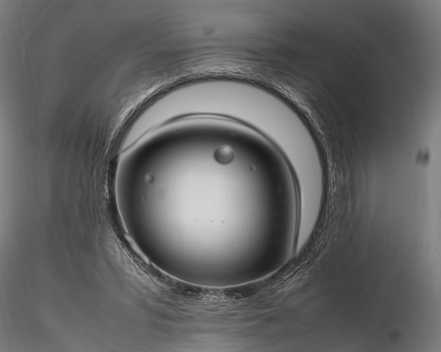 X0000116310399200912141404