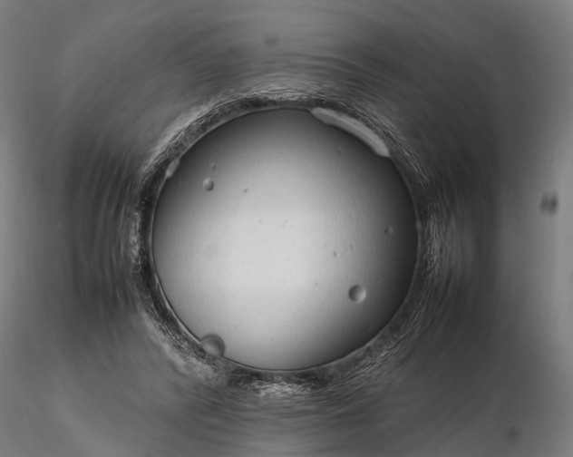 X0000116310400200912141404