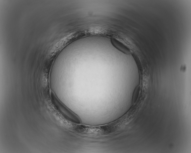 X0000116310401200912141404