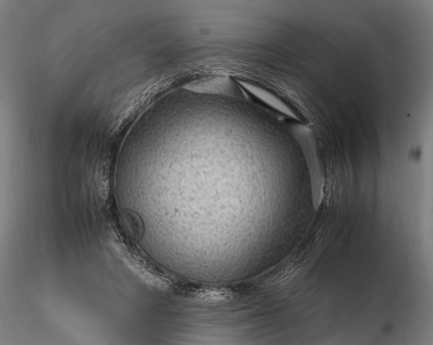 X0000116310402200912141404