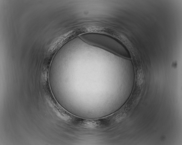 X0000116310405200912141404