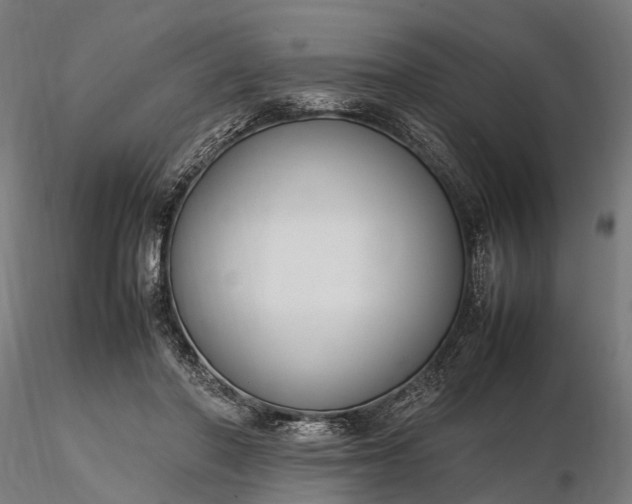 X0000116310406200912141404