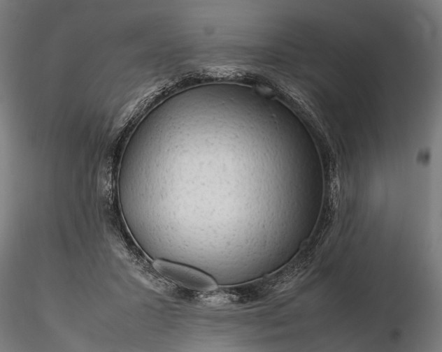 X0000116310407200912141404