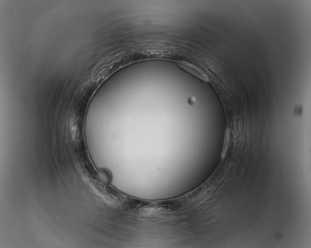 X0000116310408200912141403