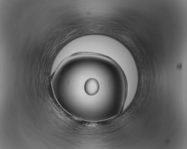 X0000116310409200912141403