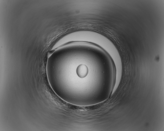 X0000116310411200912141403